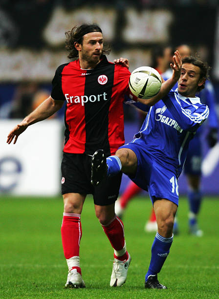 特别是当涉 特别是当涉