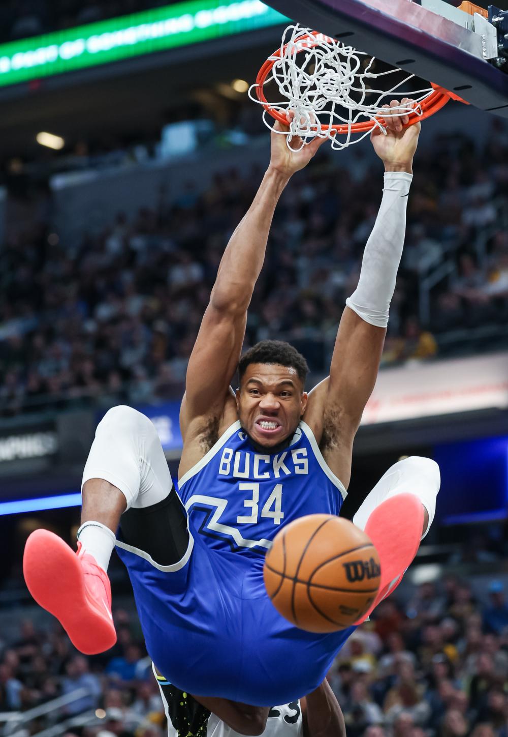 球迷不仅需 球迷不仅需